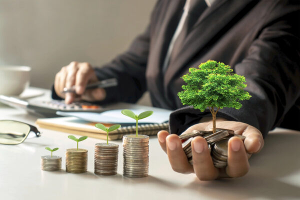 Smart and organized money means growth. 
